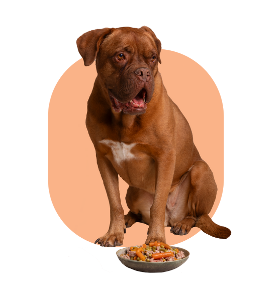 Human-grade ingredients