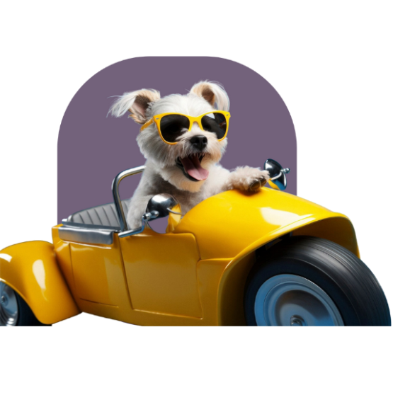 Delivered fresh served with love