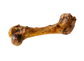 chicken_leg