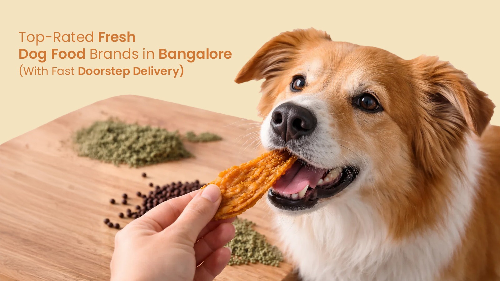 Top-Rated Fresh Dog Food Brands in Bangalore (With Fast Doorstep Delivery)