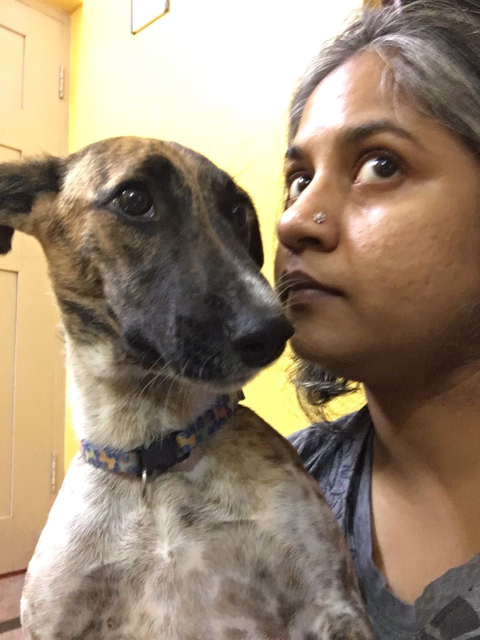 Anumeha Fatehpuria